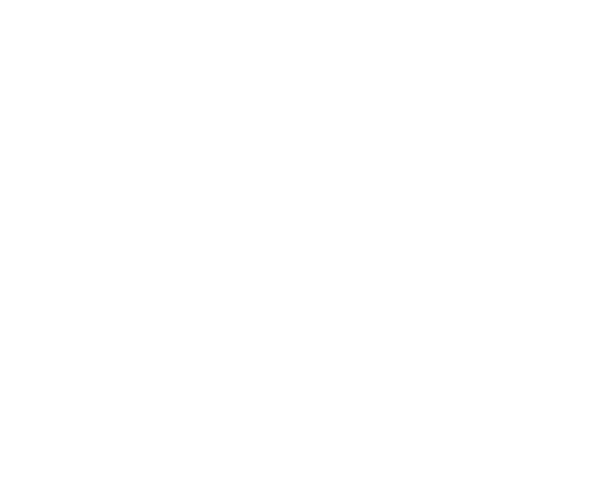 fmb logo transparent white (1)